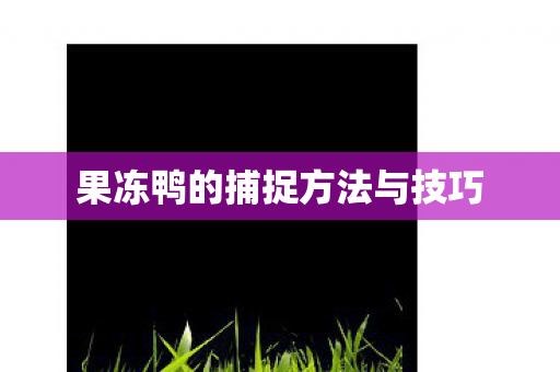 果冻鸭的捕捉方法与技巧 果冻鸭的捕捉方法与技巧