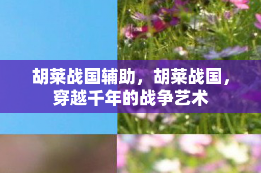 胡莱战国辅助，胡莱战国，穿越千年的战争艺术