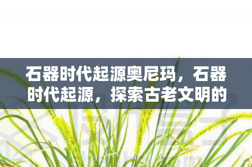 石器时代起源奥尼玛，石器时代起源，探索古老文明的神秘面纱