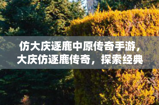 仿大庆逐鹿中原传奇手游,大庆仿逐鹿传奇,探索经典传奇的另类演绎 仿大庆逐鹿中原传奇手游,大庆仿逐鹿传奇,探索经典传奇的另类演绎
