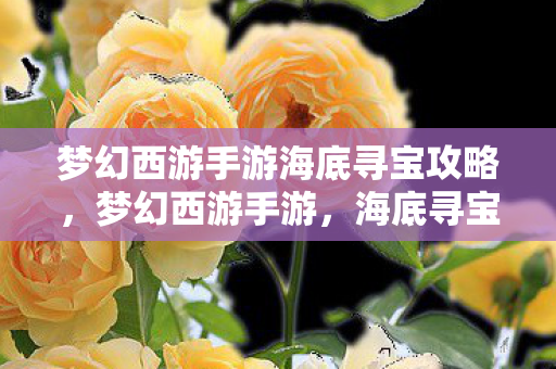 梦幻西游手游海底寻宝攻略,梦幻西游手游,海底寻宝的奇妙探险 梦幻西游手游海底寻宝攻略,梦幻西游手游,海底寻宝的奇妙探险