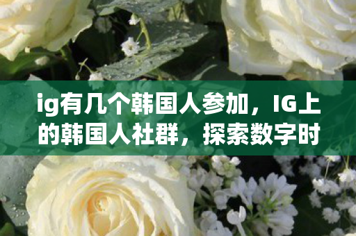 ig有几个韩国人参加,IG上的韩国人社群,探索数字时代的文化交流与身份认同 ig有几个韩国人参加,IG上的韩国人社群,探索数字时代的文化交流与身份认同