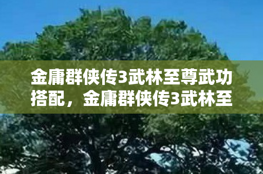 金庸群侠传3武林至尊武功搭配,金庸群侠传3武林至尊,探寻武侠世界的无尽魅力 金庸群侠传3武林至尊武功搭配,金庸群侠传3武林至尊,探寻武侠世界的无尽魅力