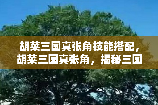 胡莱三国真张角技能搭配,胡莱三国真张角,揭秘三国卡牌游戏的魅力与策略 胡莱三国真张角技能搭配,胡莱三国真张角,揭秘三国卡牌游戏的魅力与策略