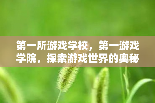 第一所游戏学校,第一游戏学院,探索游戏世界的奥秘,提升你的游戏技能 第一所游戏学校,第一游戏学院,探索游戏世界的奥秘,提升你的游戏技能