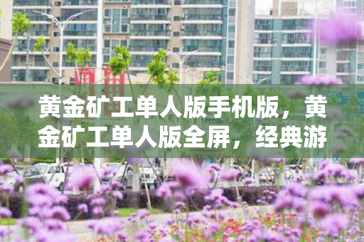 黄金矿工单人版手机版,黄金矿工单人版全屏,经典游戏的全新体验 黄金矿工单人版手机版,黄金矿工单人版全屏,经典游戏的全新体验