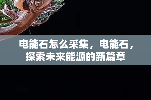 电能石怎么采集,电能石,探索未来能源的新篇章 电能石怎么采集,电能石,探索未来能源的新篇章
