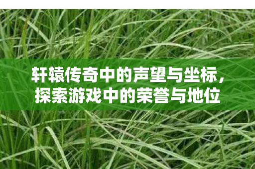轩辕传奇中的声望与坐标,探索游戏中的荣誉与地位 轩辕传奇中的声望与坐标,探索游戏中的荣誉与地位