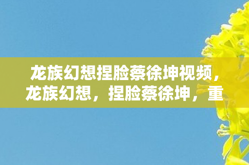 龙族幻想捏脸蔡徐坤视频,龙族幻想,捏脸蔡徐坤,重塑经典形象 龙族幻想捏脸蔡徐坤视频,龙族幻想,捏脸蔡徐坤,重塑经典形象