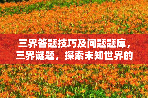 三界答题技巧及问题题库,三界谜题,探索未知世界的奇幻之旅 三界答题技巧及问题题库,三界谜题,探索未知世界的奇幻之旅