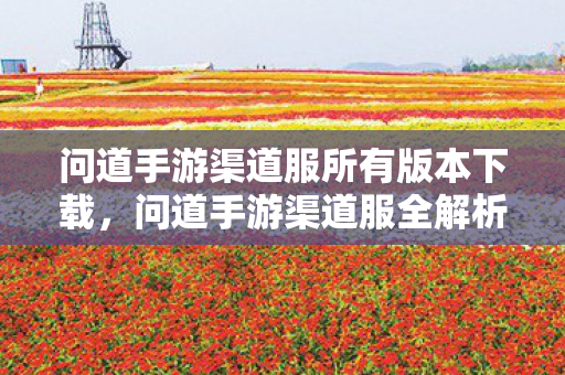 问道手游渠道服所有版本下载，问道手游渠道服全解析，版本多样性与独特魅力