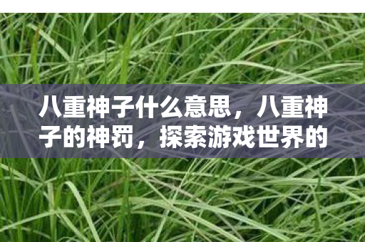 八重神子什么意思，八重神子的神罚，探索游戏世界的正义与秩序