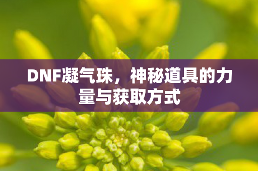 DNF凝气珠,神秘道具的力量与获取方式 DNF凝气珠,神秘道具的力量与获取方式