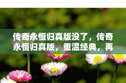 传奇永恒归真版没了,传奇永恒归真版,重温经典,再续传奇 传奇永恒归真版没了,传奇永恒归真版,重温经典,再续传奇