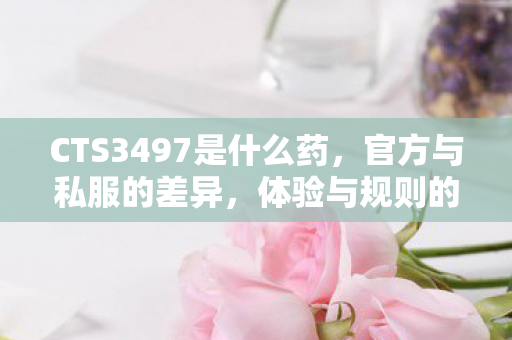 CTS3497是什么药,官方与私服的差异,体验与规则的碰撞 CTS3497是什么药,官方与私服的差异,体验与规则的碰撞