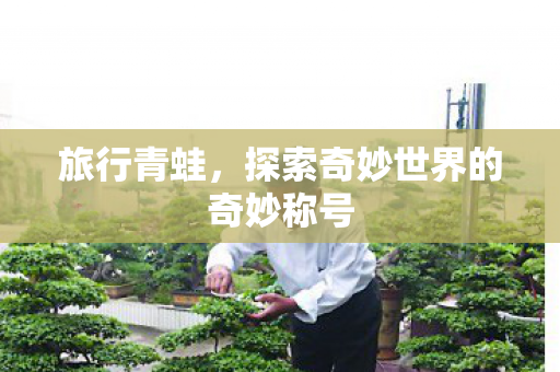旅行青蛙,探索奇妙世界的奇妙称号 旅行青蛙,探索奇妙世界的奇妙称号