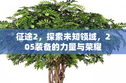 征途2,探索未知领域,205装备的力量与荣耀 征途2,探索未知领域,205装备的力量与荣耀