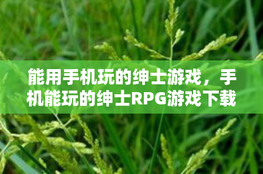 能用手机玩的绅士游戏,手机能玩的绅士RPG游戏下载,精选推荐与体验指南 能用手机玩的绅士游戏,手机能玩的绅士RPG游戏下载,精选推荐与体验指南