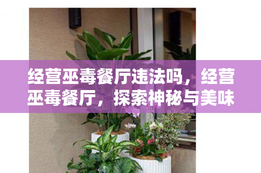 经营巫毒餐厅违法吗,经营巫毒餐厅,探索神秘与美味的奇妙融合 经营巫毒餐厅违法吗,经营巫毒餐厅,探索神秘与美味的奇妙融合