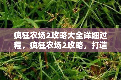 疯狂农场2攻略大全详细过程,疯狂农场2攻略,打造高效农场,赚取丰厚收益 疯狂农场2攻略大全详细过程,疯狂农场2攻略,打造高效农场,赚取丰厚收益