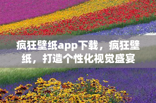 疯狂壁纸app下载,疯狂壁纸,打造个性化视觉盛宴 疯狂壁纸app下载,疯狂壁纸,打造个性化视觉盛宴