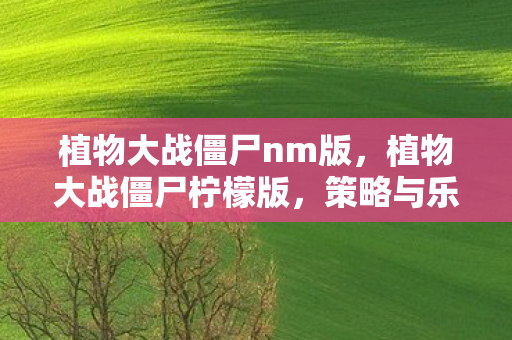 植物大战僵尸nm版,植物大战僵尸柠檬版,策略与乐趣的完美结合 植物大战僵尸nm版,植物大战僵尸柠檬版,策略与乐趣的完美结合