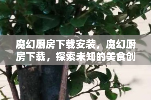 魔幻厨房下载安装,魔幻厨房下载,探索未知的美食创作之旅 魔幻厨房下载安装,魔幻厨房下载,探索未知的美食创作之旅
