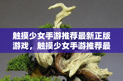 触摸少女手游推荐最新正版游戏,触摸少女手游推荐最新正版 触摸少女手游推荐最新正版游戏,触摸少女手游推荐最新正版
