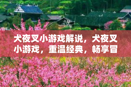 犬夜叉小游戏解说,犬夜叉小游戏,重温经典,畅享冒险 犬夜叉小游戏解说,犬夜叉小游戏,重温经典,畅享冒险