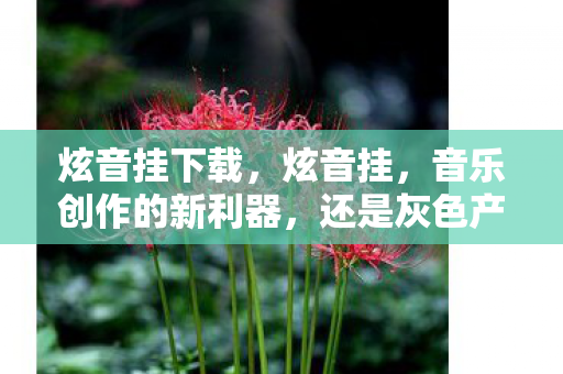 炫音挂下载,炫音挂,音乐创作的新利器,还是灰色产业的阴影? 炫音挂下载,炫音挂,音乐创作的新利器,还是灰色产业的阴影?