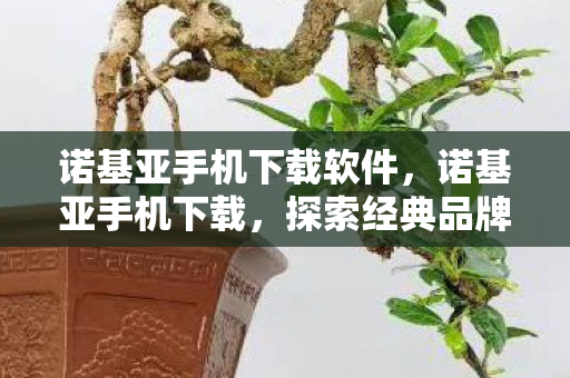 诺基亚手机下载软件，诺基亚手机下载，探索经典品牌的数字生活新篇章