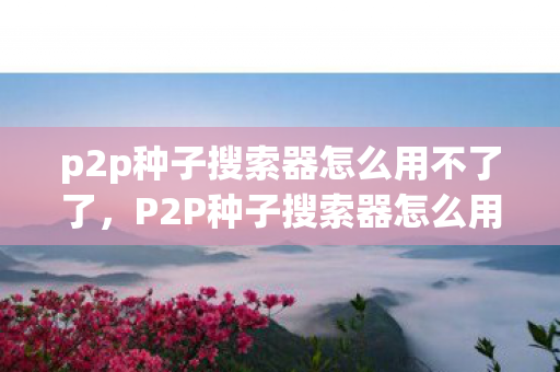 p2p种子搜索器怎么用不了了，P2P种子搜索器怎么用