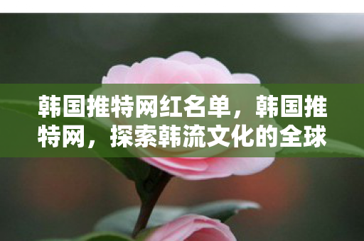 韩国推特网红名单,韩国推特网,探索韩流文化的全球影响力 韩国推特网红名单,韩国推特网,探索韩流文化的全球影响力