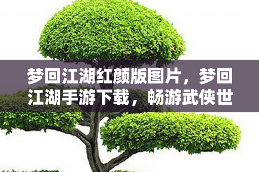 梦回江湖红颜版图片,梦回江湖手游下载,畅游武侠世界的便捷途径 梦回江湖红颜版图片,梦回江湖手游下载,畅游武侠世界的便捷途径