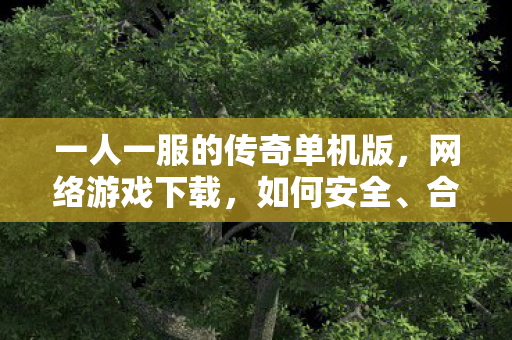 一人一服的传奇单机版，网络游戏下载，如何安全、合法地获取游戏资源