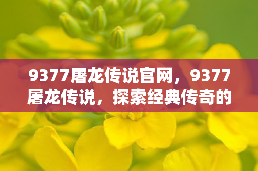 9377屠龙传说官网,9377屠龙传说,探索经典传奇的奇幻世界 9377屠龙传说官网,9377屠龙传说,探索经典传奇的奇幻世界