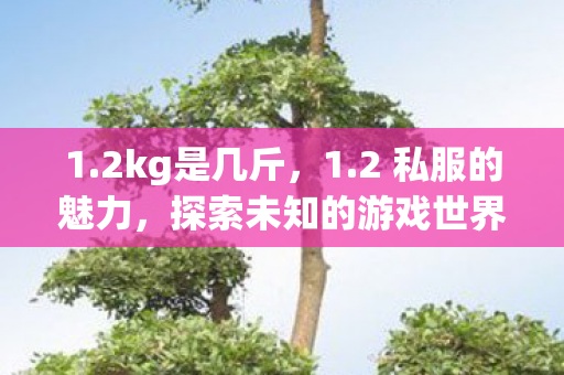 1.2kg是几斤,1.2 私服的魅力,探索未知的游戏世界 1.2kg是几斤,1.2 私服的魅力,探索未知的游戏世界