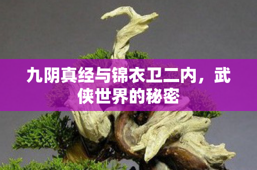 九阴真经与锦衣卫二内,武侠世界的秘密 九阴真经与锦衣卫二内,武侠世界的秘密