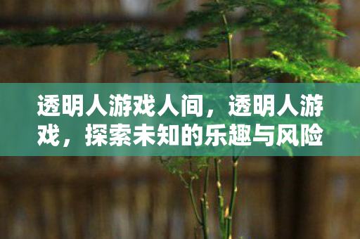 透明人游戏人间,透明人游戏,探索未知的乐趣与风险 透明人游戏人间,透明人游戏,探索未知的乐趣与风险