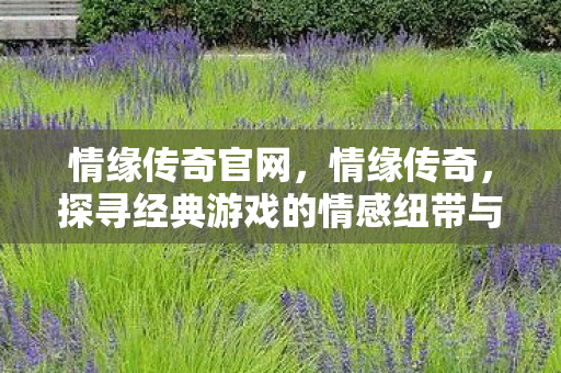 情缘传奇官网,情缘传奇,探寻经典游戏的情感纽带与传奇故事 情缘传奇官网,情缘传奇,探寻经典游戏的情感纽带与传奇故事