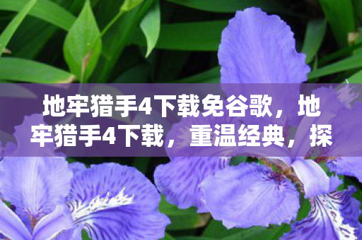 地牢猎手4下载免谷歌，地牢猎手4下载，重温经典，探索未知的地牢世界
