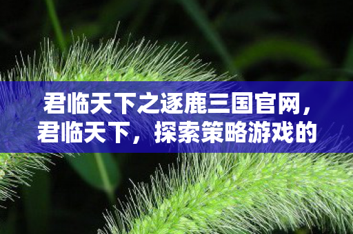 君临天下之逐鹿三国官网,君临天下,探索策略游戏的深度与广度 君临天下之逐鹿三国官网,君临天下,探索策略游戏的深度与广度