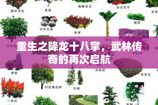 重生之降龙十八掌,武林传奇的再次启航 重生之降龙十八掌,武林传奇的再次启航