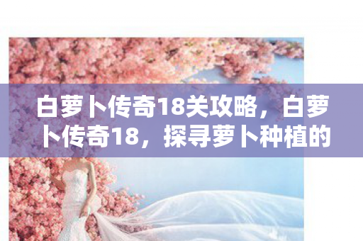 白萝卜传奇18关攻略，白萝卜传奇18，探寻萝卜种植的秘密