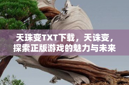 天珠变TXT下载，天诛变，探索正版游戏的魅力与未来