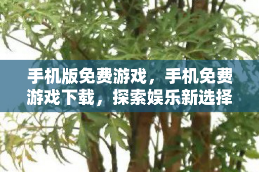 手机版免费游戏,手机免费游戏下载,探索娱乐新选择,安全体验是关键 手机版免费游戏,手机免费游戏下载,探索娱乐新选择,安全体验是关键