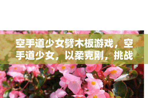 空手道少女劈木板游戏，空手道少女，以柔克刚，挑战自我