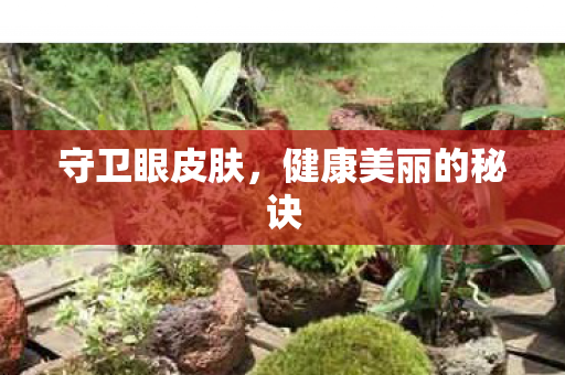 守卫眼皮肤,健康美丽的秘诀 守卫眼皮肤,健康美丽的秘诀