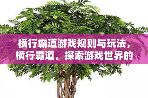 横行霸道游戏规则与玩法,横行霸道,探索游戏世界的无限可能 横行霸道游戏规则与玩法,横行霸道,探索游戏世界的无限可能