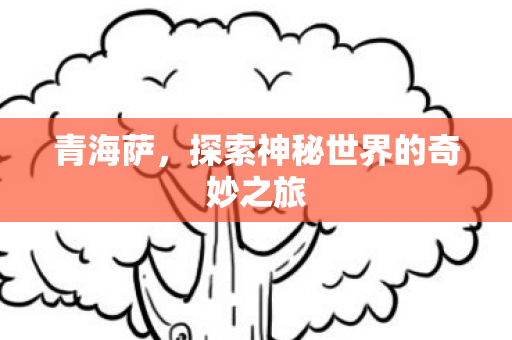 青海萨,探索神秘世界的奇妙之旅 青海萨,探索神秘世界的奇妙之旅